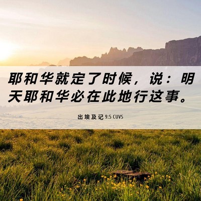 Picture 06 - 出 埃 及 记 9:5 CUVS - 耶 和 华 就 定 了 时 候 ， 说 ： 明 - Bible Verse Picture