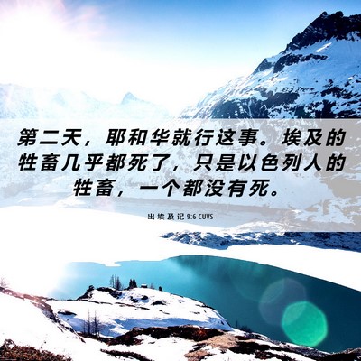 Picture 06 - 出 埃 及 记 9:6 CUVS - 第 二 天 ， 耶 和 华 就 行 这 事 。 - Bible Verse Picture