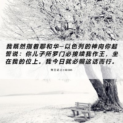 Picture 06 - 列 王 记 上 1:30 CUVS - 我 既 然 指 着 耶 和 华 ─ 以 色 列 - Bible Verse Picture