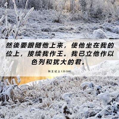 Picture 06 - 列 王 记 上 1:35 CUVS - 然 後 要 跟 随 他 上 来 ， 使 他 坐 - Bible Verse Picture