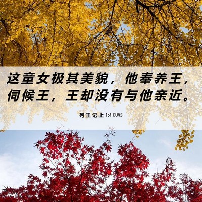 Picture 06 - 列 王 记 上 1:4 CUVS - 这 童 女 极 其 美 貌 ， 他 奉 养 王 - Bible Verse Picture