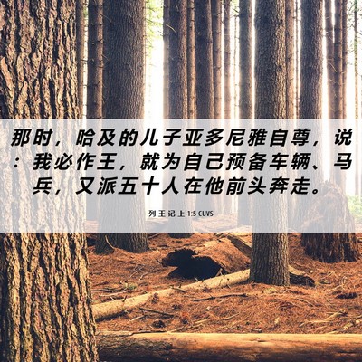Picture 06 - 列 王 记 上 1:5 CUVS - 那 时 ， 哈 及 的 儿 子 亚 多 尼 雅 - Bible Verse Picture