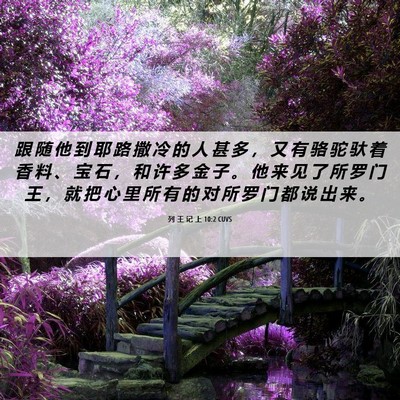 Picture 06 - 列 王 记 上 10:2 CUVS - 跟 随 他 到 耶 路 撒 冷 的 人 甚 多 - Bible Verse Picture