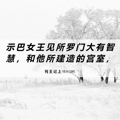 Picture 06 - 列 王 记 上 10:4 CUVS - 示 巴 女 王 见 所 罗 门 大 有 智 慧 - Bible Verse Picture