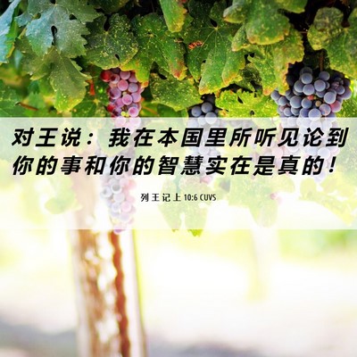Picture 06 - 列 王 记 上 10:6 CUVS - 对 王 说 ： 我 在 本 国 里 所 听 见 - Bible Verse Picture