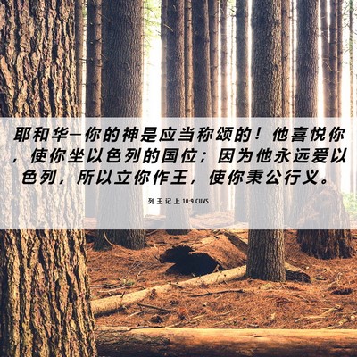 Picture 06 - 列 王 记 上 10:9 CUVS - 耶 和 华 ─ 你 的 神 是 应 当 称 颂 - Bible Verse Picture