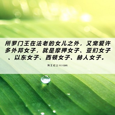 Picture 06 - 列 王 记 上 11:1 CUVS - 所 罗 门 王 在 法 老 的 女 儿 之 外 - Bible Verse Picture