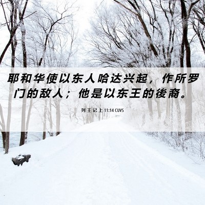 Picture 06 - 列 王 记 上 11:14 CUVS - 耶 和 华 使 以 东 人 哈 达 兴 起 ， - Bible Verse Picture