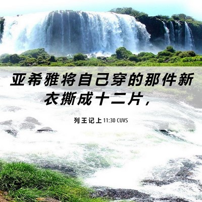 Picture 06 - 列 王 记 上 11:30 CUVS - 亚 希 雅 将 自 己 穿 的 那 件 新 衣 - Bible Verse Picture