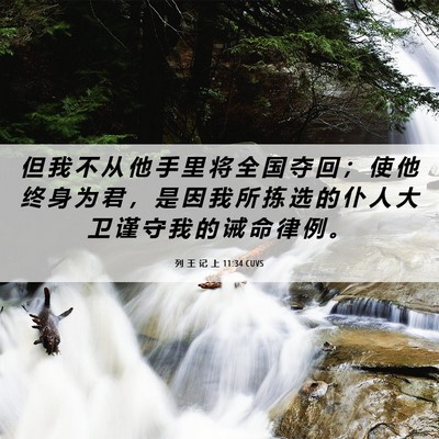 Picture 06 - 列 王 记 上 11:34 CUVS - 但 我 不 从 他 手 里 将 全 国 夺 回 - Bible Verse Picture