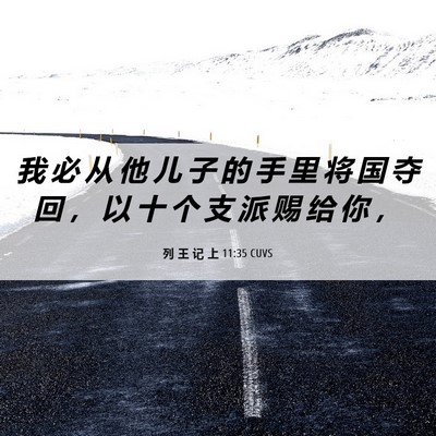 Picture 06 - 列 王 记 上 11:35 CUVS - 我 必 从 他 儿 子 的 手 里 将 国 夺 - Bible Verse Picture