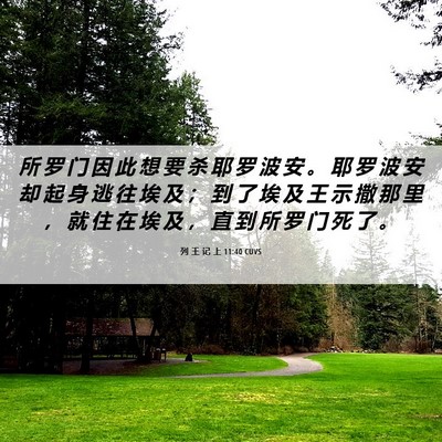 Picture 06 - 列 王 记 上 11:40 CUVS - 所 罗 门 因 此 想 要 杀 耶 罗 波 安 - Bible Verse Picture
