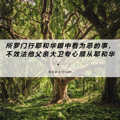 Picture 06 - 列 王 记 上 11:6 CUVS - 所 罗 门 行 耶 和 华 眼 中 看 为 恶 - Bible Verse Picture