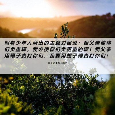 Picture 06 - 列 王 记 上 12:14 CUVS - 照 着 少 年 人 所 出 的 主 意 对 民 - Bible Verse Picture