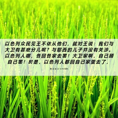 Picture 06 - 列 王 记 上 12:16 CUVS - 以 色 列 众 民 见 王 不 依 从 他 们 - Bible Verse Picture