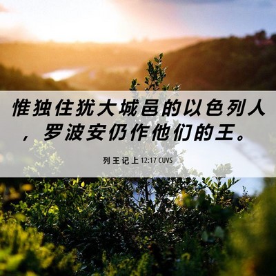 Picture 06 - 列 王 记 上 12:17 CUVS - 惟 独 住 犹 大 城 邑 的 以 色 列 人 - Bible Verse Picture