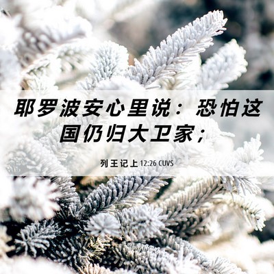 Picture 06 - 列 王 记 上 12:26 CUVS - 耶 罗 波 安 心 里 说 ： 恐 怕 这 国 - Bible Verse Picture