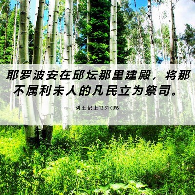 Picture 06 - 列 王 记 上 12:31 CUVS - 耶 罗 波 安 在 邱 坛 那 里 建 殿 ， - Bible Verse Picture