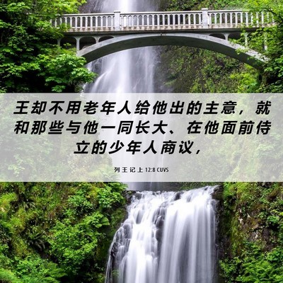Picture 06 - 列 王 记 上 12:8 CUVS - 王 却 不 用 老 年 人 给 他 出 的 主 - Bible Verse Picture
