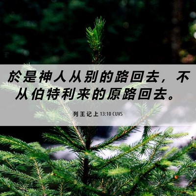 Picture 06 - 列 王 记 上 13:10 CUVS - 於 是 神 人 从 别 的 路 回 去 ， 不 - Bible Verse Picture