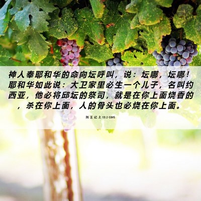 Picture 06 - 列 王 记 上 13:2 CUVS - 神 人 奉 耶 和 华 的 命 向 坛 呼 叫 - Bible Verse Picture