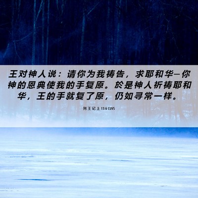 Picture 06 - 列 王 记 上 13:6 CUVS - 王 对 神 人 说 ： 请 你 为 我 祷 告 - Bible Verse Picture