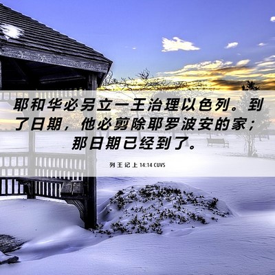 Picture 06 - 列 王 记 上 14:14 CUVS - 耶 和 华 必 另 立 一 王 治 理 以 色 - Bible Verse Picture