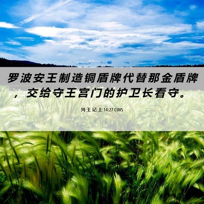 Picture 06 - 列 王 记 上 14:27 CUVS - 罗 波 安 王 制 造 铜 盾 牌 代 替 那 - Bible Verse Picture