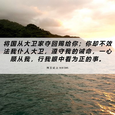 Picture 06 - 列 王 记 上 14:8 CUVS - 将 国 从 大 卫 家 夺 回 赐 给 你 ； - Bible Verse Picture