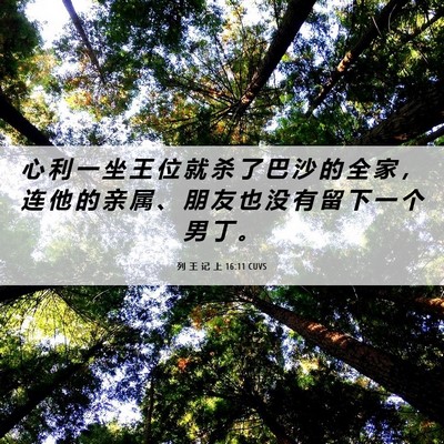 Picture 06 - 列 王 记 上 16:11 CUVS - 心 利 一 坐 王 位 就 杀 了 巴 沙 的 - Bible Verse Picture