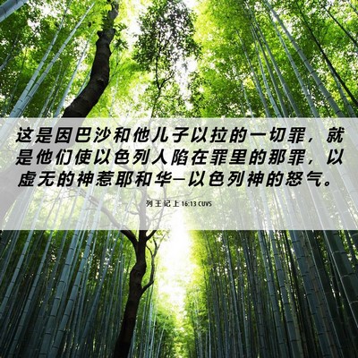 Picture 06 - 列 王 记 上 16:13 CUVS - 这 是 因 巴 沙 和 他 儿 子 以 拉 的 - Bible Verse Picture