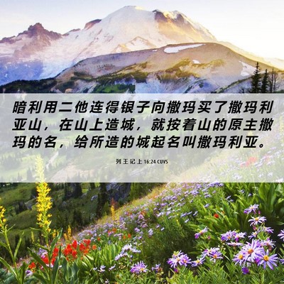 Picture 06 - 列 王 记 上 16:24 CUVS - 暗 利 用 二 他 连 得 银 子 向 撒 玛 - Bible Verse Picture