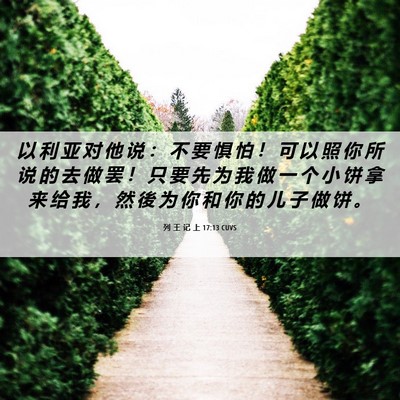 Picture 06 - 列 王 记 上 17:13 CUVS - 以 利 亚 对 他 说 ： 不 要 惧 怕 ！ - Bible Verse Picture