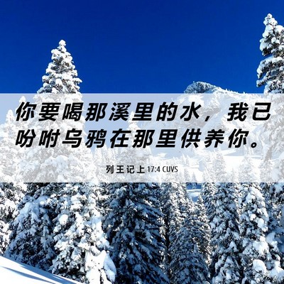 Picture 06 - 列 王 记 上 17:4 CUVS - 你 要 喝 那 溪 里 的 水 ， 我 已 吩 - Bible Verse Picture