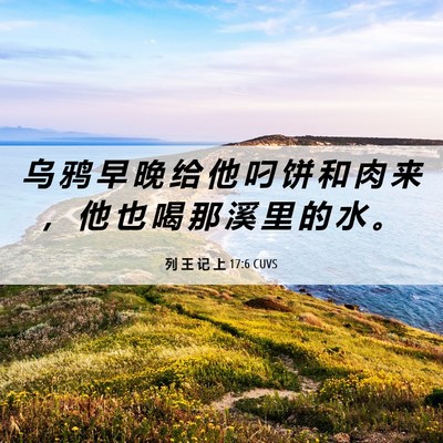 Picture 06 - 列 王 记 上 17:6 CUVS - 乌 鸦 早 晚 给 他 叼 饼 和 肉 来 ， - Bible Verse Picture