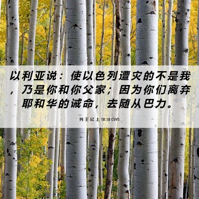 Picture 06 - 列 王 记 上 18:18 CUVS - 以 利 亚 说 ： 使 以 色 列 遭 灾 的 - Bible Verse Picture