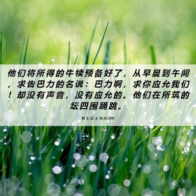 Picture 06 - 列 王 记 上 18:26 CUVS - 他 们 将 所 得 的 牛 犊 预 备 好 了 - Bible Verse Picture
