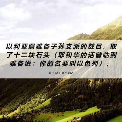 Picture 06 - 列 王 记 上 18:31 CUVS - 以 利 亚 照 雅 各 子 孙 支 派 的 数 - Bible Verse Picture