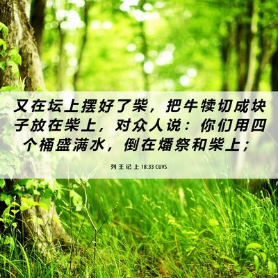 Picture 06 - 列 王 记 上 18:33 CUVS - 又 在 坛 上 摆 好 了 柴 ， 把 牛 犊 - Bible Verse Picture