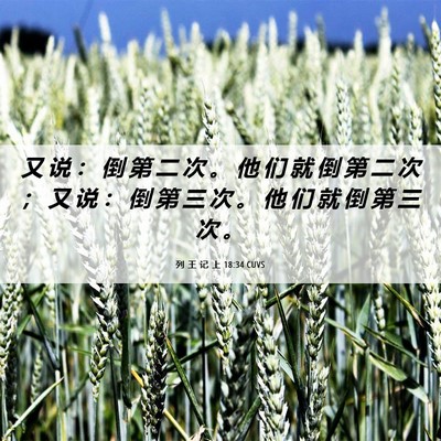 Picture 06 - 列 王 记 上 18:34 CUVS - 又 说 ： 倒 第 二 次 。 他 们 就 倒 - Bible Verse Picture