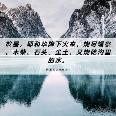 Picture 06 - 列 王 记 上 18:38 CUVS - 於 是 ， 耶 和 华 降 下 火 来 ， 烧 - Bible Verse Picture