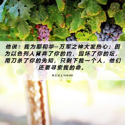 Picture 06 - 列 王 记 上 19:10 CUVS - 他 说 ： 我 为 耶 和 华 ─ 万 军 之 - Bible Verse Picture