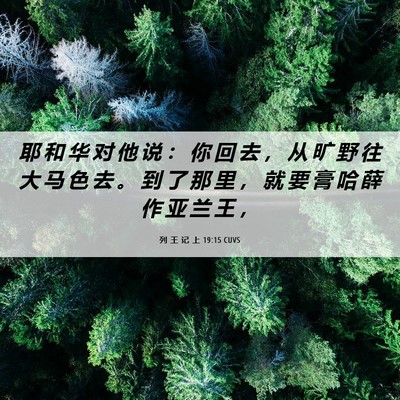 Picture 06 - 列 王 记 上 19:15 CUVS - 耶 和 华 对 他 说 ： 你 回 去 ， 从 - Bible Verse Picture
