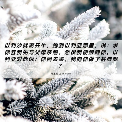 Picture 06 - 列 王 记 上 19:20 CUVS - 以 利 沙 就 离 开 牛 ， 跑 到 以 利 - Bible Verse Picture