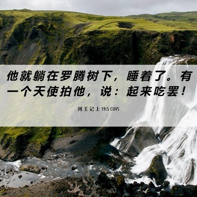 Picture 06 - 列 王 记 上 19:5 CUVS - 他 就 躺 在 罗 腾 树 下 ， 睡 着 了 - Bible Verse Picture