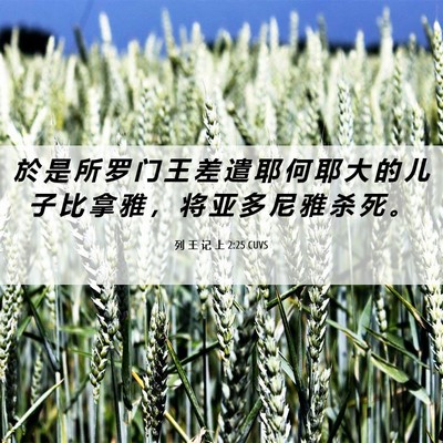 Picture 06 - 列 王 记 上 2:25 CUVS - 於 是 所 罗 门 王 差 遣 耶 何 耶 大 - Bible Verse Picture