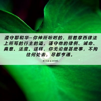 Picture 06 - 列 王 记 上 2:3 CUVS - 遵 守 耶 和 华 ─ 你 神 所 吩 咐 的 - Bible Verse Picture