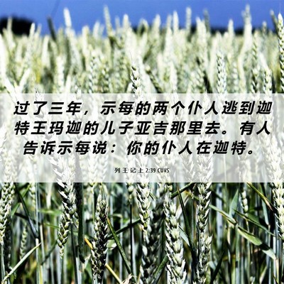 Picture 06 - 列 王 记 上 2:39 CUVS - 过 了 三 年 ， 示 每 的 两 个 仆 人 - Bible Verse Picture