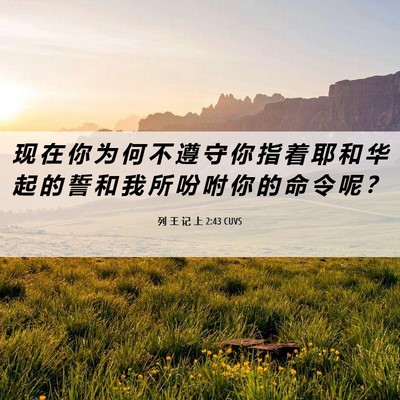 Picture 06 - 列 王 记 上 2:43 CUVS - 现 在 你 为 何 不 遵 守 你 指 着 耶 - Bible Verse Picture