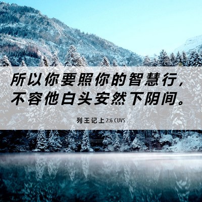 Picture 06 - 列 王 记 上 2:6 CUVS - 所 以 你 要 照 你 的 智 慧 行 ， 不 - Bible Verse Picture